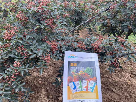 花椒種植，大量元素水溶肥，翠姆