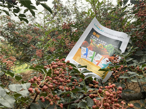 花椒種植，大量元素水溶肥，翠姆