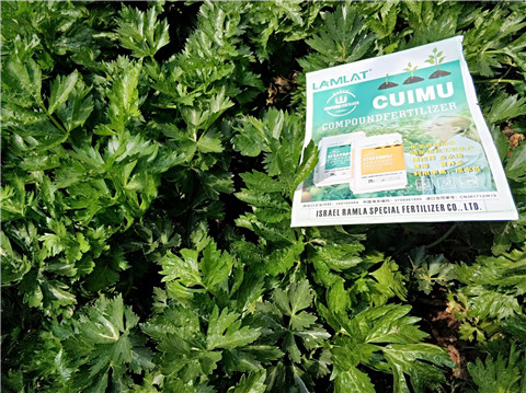 高鉀水溶肥，磷酸二氫鉀，拉姆拉，翠姆