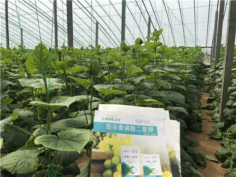 水溶肥，拉姆拉