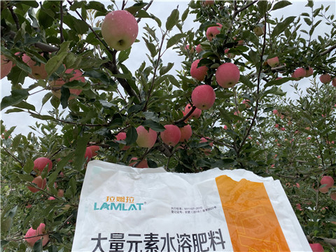 進(jìn)口水溶肥品牌，拉姆拉，翠姆