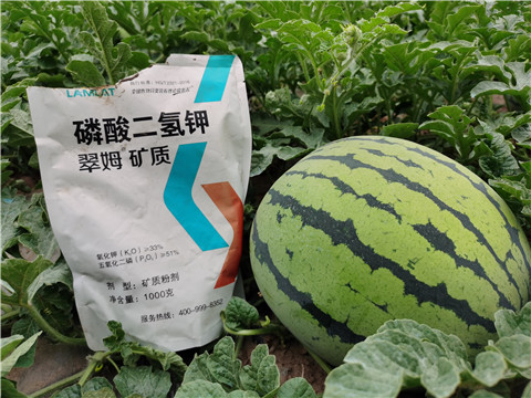 進(jìn)口水溶肥，翠姆，拉姆拉