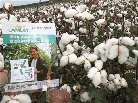 進(jìn)口水溶肥，翠姆，拉姆拉