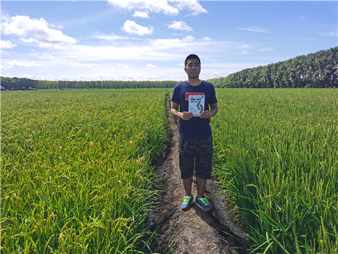 磷酸二氫鉀，拉姆拉，翠姆