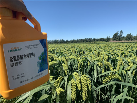 磷酸二氫鉀，拉姆拉，翠姆