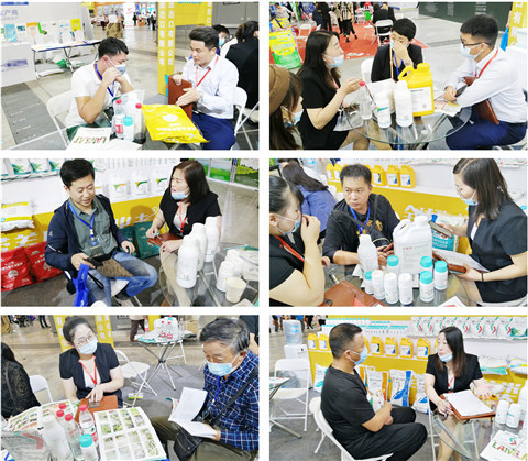 植保會，拉姆拉，翠姆