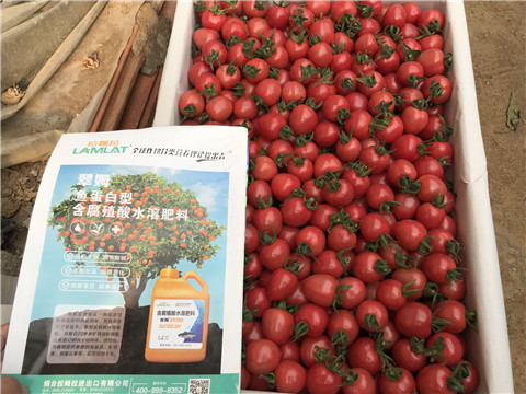 微生物菌劑，磷酸二氫鉀，翠姆，拉姆拉