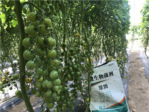 微生物菌劑，磷酸二氫鉀，翠姆，拉姆拉