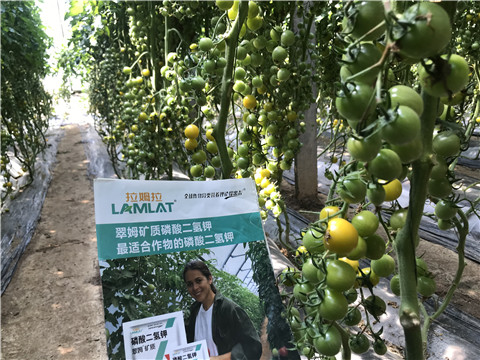 微生物菌劑，磷酸二氫鉀，翠姆，拉姆拉