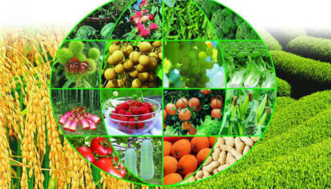 水溶肥，拉姆拉，翠姆