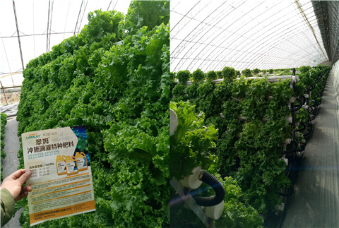 水溶肥，拉姆拉，翠姆