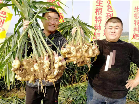 水溶肥，翠姆，拉姆拉