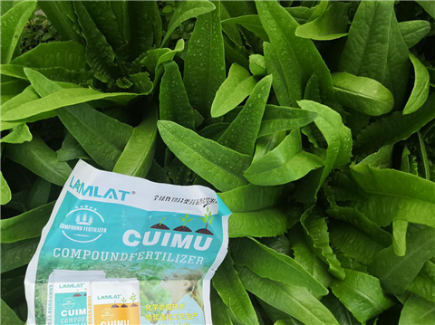 水溶肥，翠姆，拉姆拉