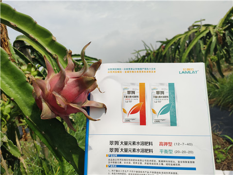 進(jìn)口水溶肥，拉姆拉，翠姆