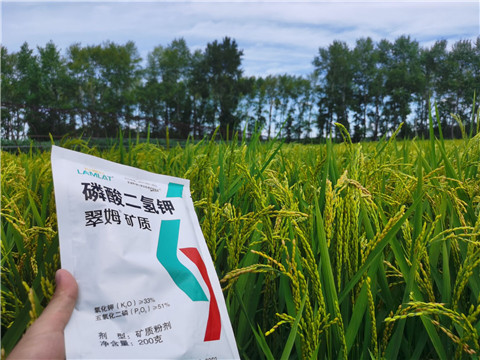 磷酸二氫鉀，拉姆拉，翠姆