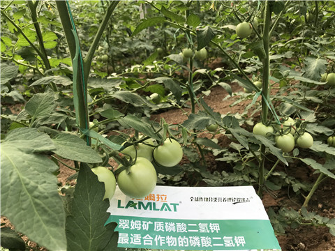 磷酸二氫鉀，拉姆拉，翠姆