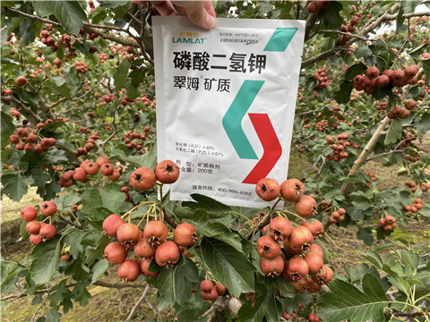 磷酸二氫鉀，拉姆拉，翠姆