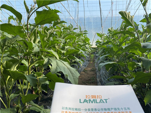 進(jìn)口水溶肥，翠姆，拉姆拉