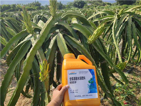 水溶肥，拉姆拉，翠姆