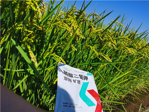 水溶肥，磷酸二氫鉀