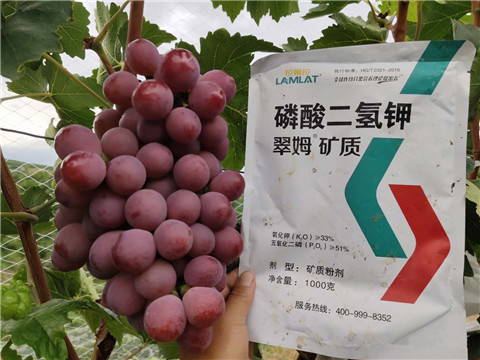 進口水溶肥，拉姆拉，翠姆