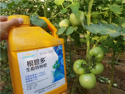 葉面肥，磷酸二氫鉀，微生物菌劑，翠姆，拉姆拉