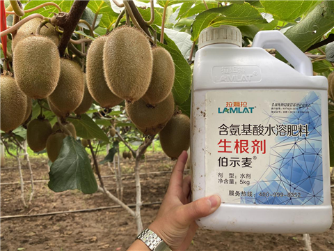 水溶肥，生根劑，微生物菌劑，伯示麥，拉姆拉