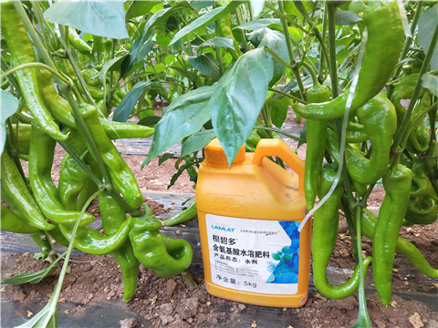 水溶肥，拉姆拉