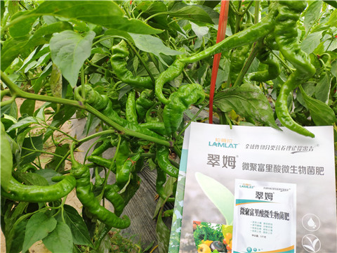 水溶肥，拉姆拉