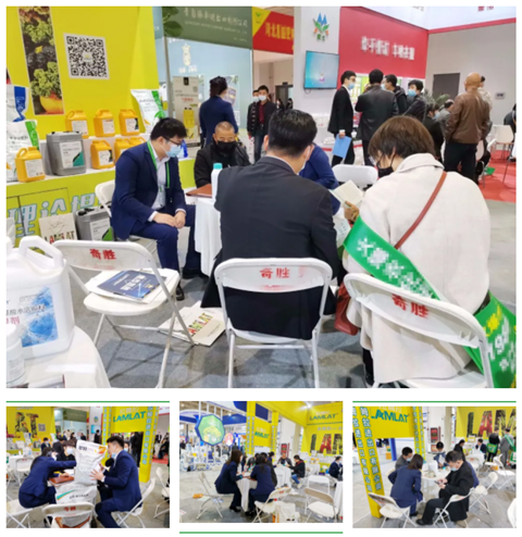 水溶肥，拉姆拉，翠姆