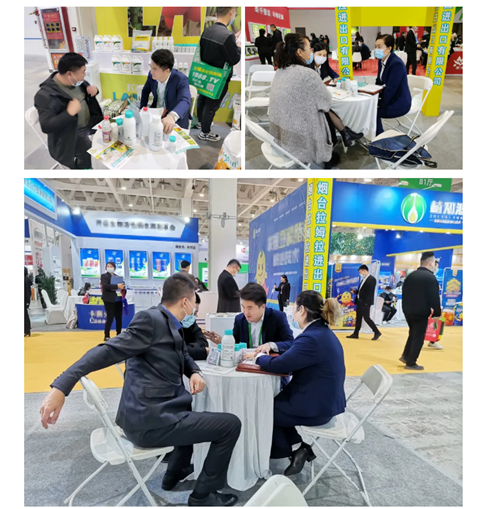 水溶肥，拉姆拉，翠姆