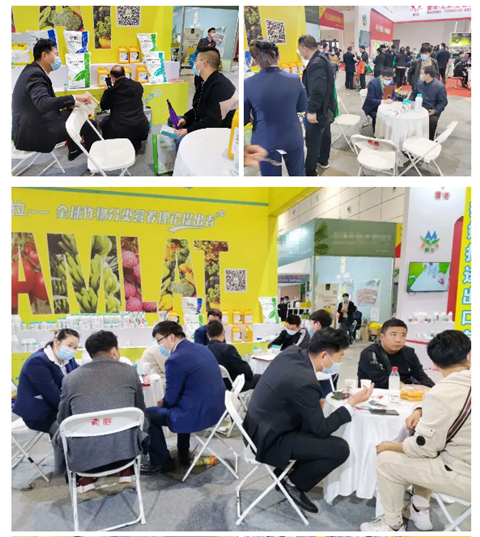 水溶肥，拉姆拉，翠姆