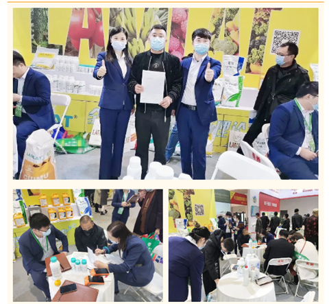 水溶肥，拉姆拉，翠姆