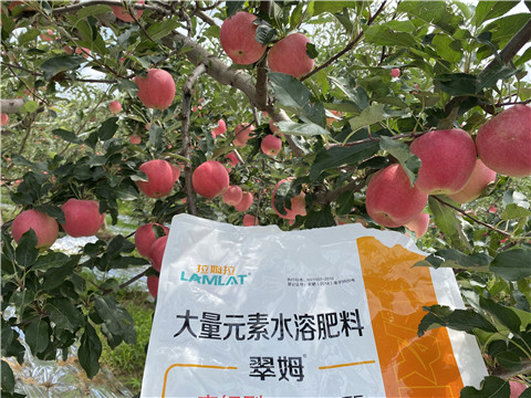 水溶肥，大量元素水溶肥，翠姆，拉姆拉