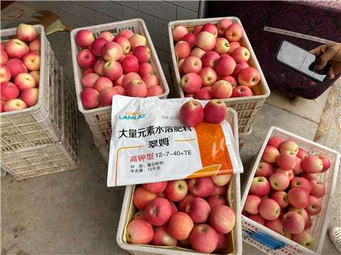 水溶肥，大量元素水溶肥，翠姆，拉姆拉