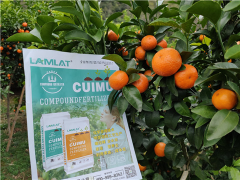 顆粒水溶肥，拉姆拉，翠姆