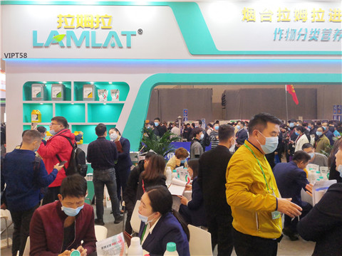 進(jìn)口水溶肥，拉姆拉，翠姆