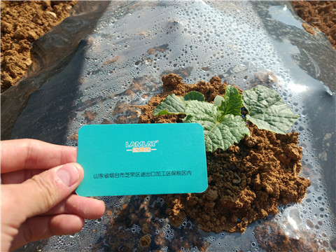 水溶肥，拉姆拉