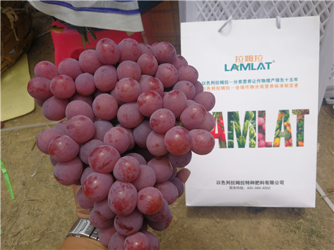 葉面肥，磷酸二氫鉀，鈣肥，翠姆，拉姆拉