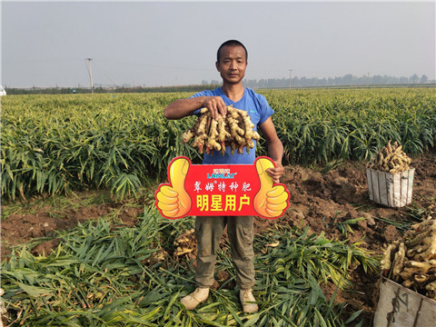 進(jìn)口水溶肥，拉姆拉，翠姆