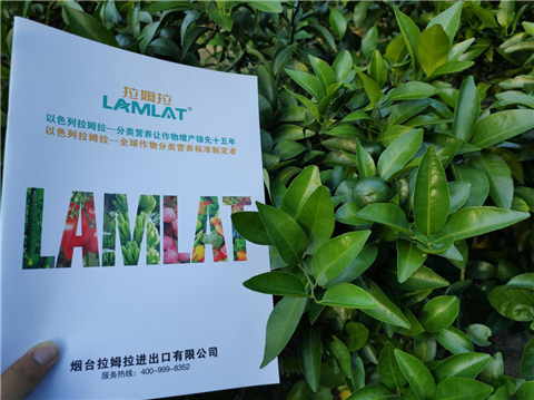 水溶肥，拉姆拉，翠姆