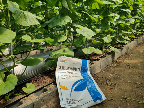 大量元素水溶肥，拉姆拉，翠姆