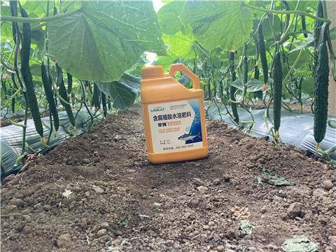 水溶肥，拉姆拉，翠姆