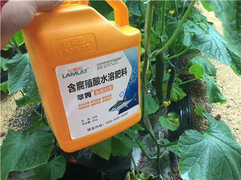 滴灌肥，拉姆拉，翠姆