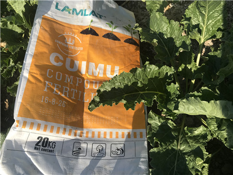 顆粒水溶肥，拉姆拉，翠姆