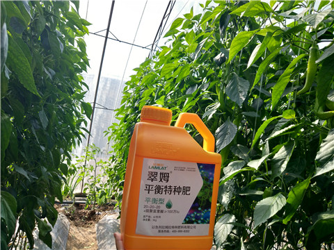 滴灌肥，拉姆拉，翠姆