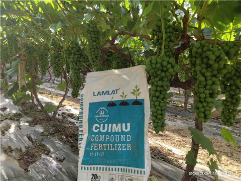 水溶肥，拉姆拉，翠姆