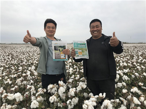 棉花，水溶肥，拉姆拉，翠姆