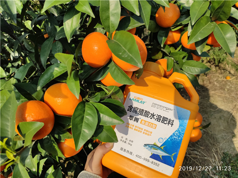 水溶肥，拉姆拉，翠姆