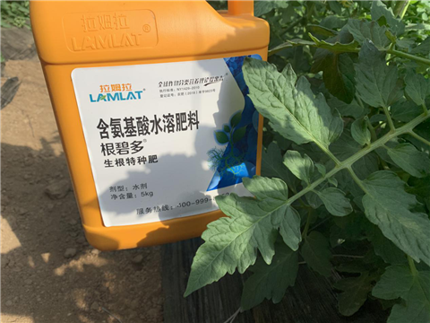 水溶肥，拉姆拉，翠姆